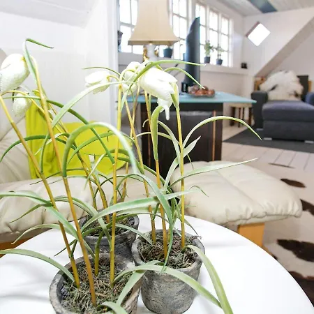 Xii Ferienhaus